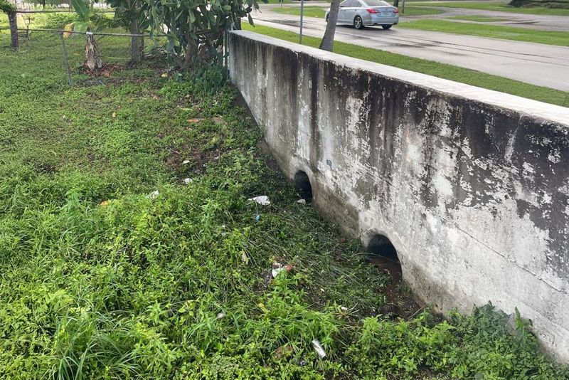 Why some Florida yards attract localized surges