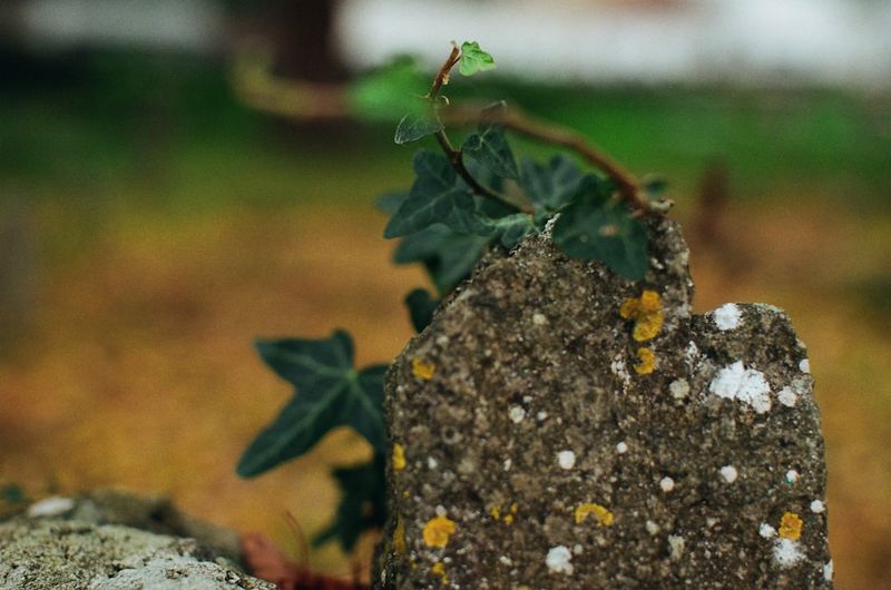 Why the buildup can return