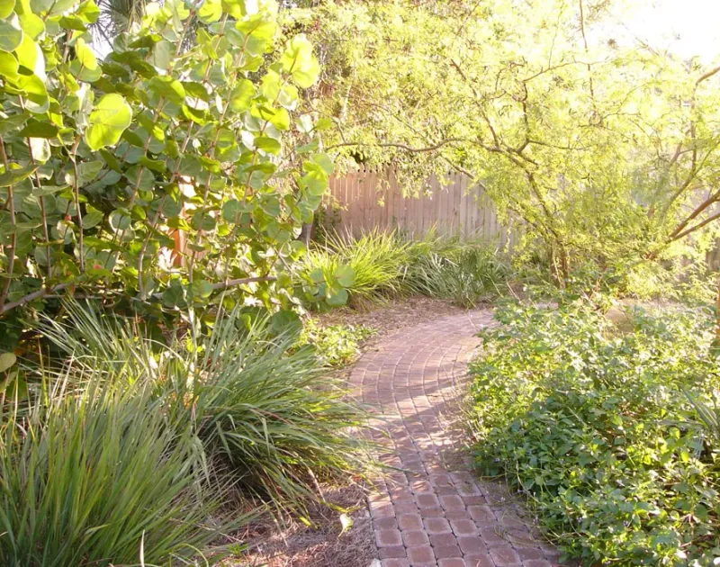 Wilcox Nursery and Landscape Wilcox Nursery and Landscape