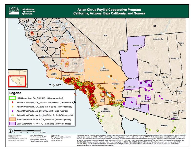 Your county determines how urgently to report Your county determines how urgently to report