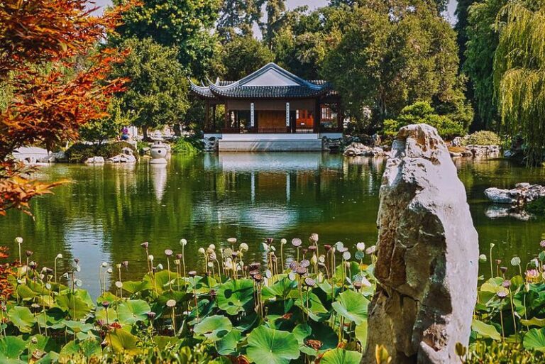 The Best California Arboretums Worth Driving Out to for a Weekend, and What Makes Each One Special