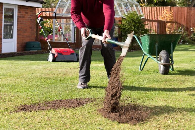 Your Bumpy Lawn Gets Smoother When You Fix It in Layers, Not With Heavy Machinery