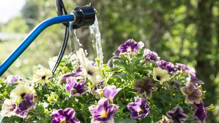Your Hanging Baskets Struggle in the Heat No Matter How Often You Water — Here’s the Watering Slip Behind It