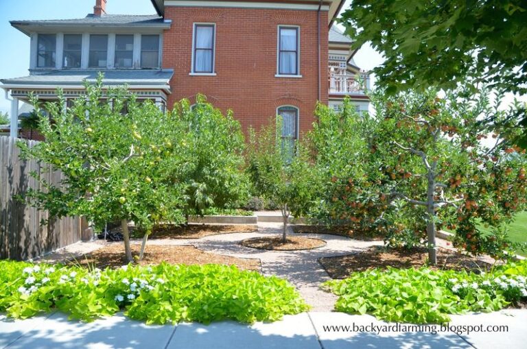 The Fig Tree Spacing Mistake North Carolina Gardeners Make That Wrecks the Foundation Within a Few Years