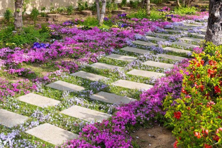 The California Groundcovers That Creep Into Patio Cracks and Shut Weeds Out Before They Ever Take Hold