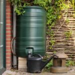 What North Carolina Gardeners Do to Keep Container Gardens Thriving Through Dry Fall Stretches Without Touching the Hose