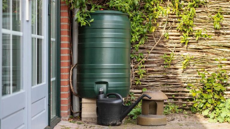 What North Carolina Gardeners Do to Keep Container Gardens Thriving Through Dry Fall Stretches Without Touching the Hose