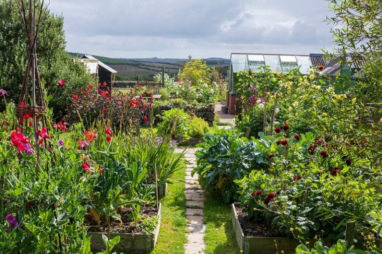 These Popular Foods Are Actually Illegal to Grow in Your Backyard – Here Are the Ones to Pull Now