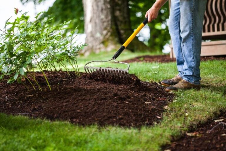 Your Perennials Won’t Survive the First Hard Frost Unless You Mulch These 5 in September