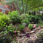 Simple Habits That Bring Fireflies Blinking Back Across Your Central Texas Yard Every Summer