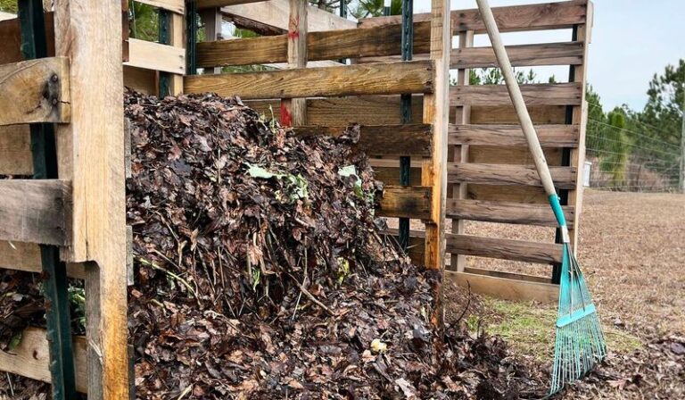 Do This to Your North Carolina Compost Pile Before Cooler Weather Sets In or It Stalls Out