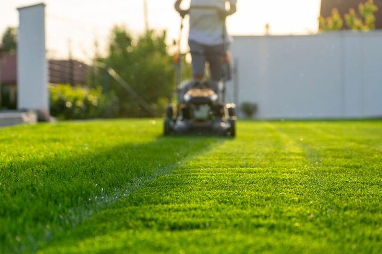 There’s a Right Time to Mow Your Lawn – and It’s Not When Most Gardeners Grab the Mower