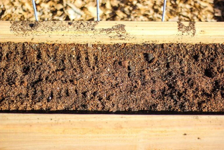 Your Raised Bed Harvest Starts in the Soil Mix – These 3 Ingredients Matter Most