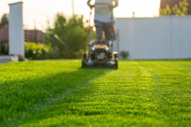 Cutting Your Lawn Too Short Weakens It Fast – Here’s the Mowing Height That Keeps It Thick and Green