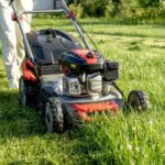 Your Mower Keeps Feeding Crabgrass the Exact Cut It Needs to Spread Faster