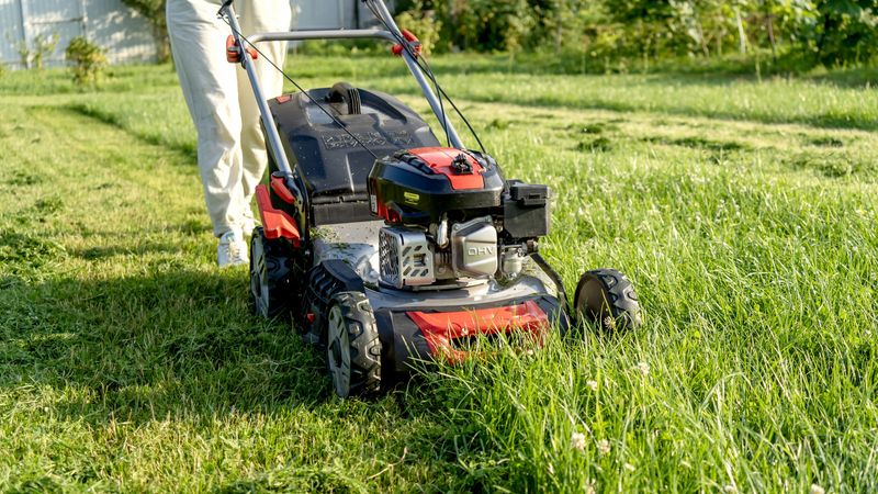 Your Mower Keeps Feeding Crabgrass the Exact Cut It Needs to Spread Faster