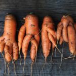 Fall Carrots Split and Fork in the Ground — Here’s the Soil Slip Behind the Deformed Roots