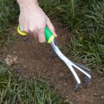 Your Lawn Has Bare Patches Heading Into Fall – Here’s the One Move That Fixes Them Before Winter