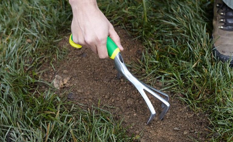 Your Lawn Has Bare Patches Heading Into Fall – Here’s the One Move That Fixes Them Before Winter