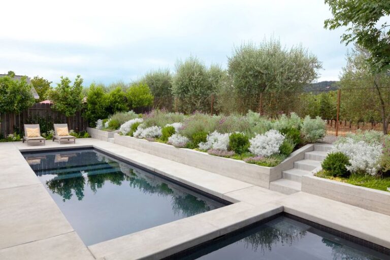 The California Poolside Plants That Stay Neat on Their Own Through Summer Heat, No Constant Cleanup Required