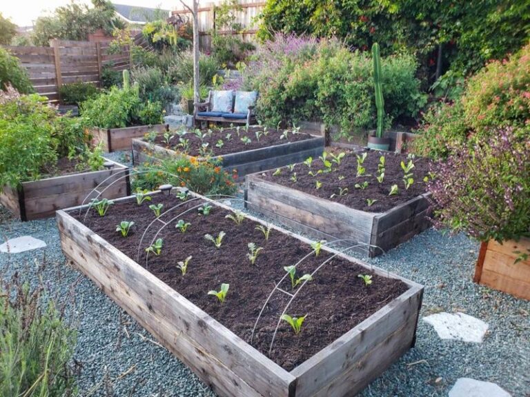 Your Raised Beds Stopped Producing Like They Used To – Here Are the Three Soil Ingredients That Bring Them Back