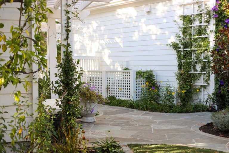 The California Vines That Cover a Fence Fast but Quietly Stay Off Your Roof During Fire Season