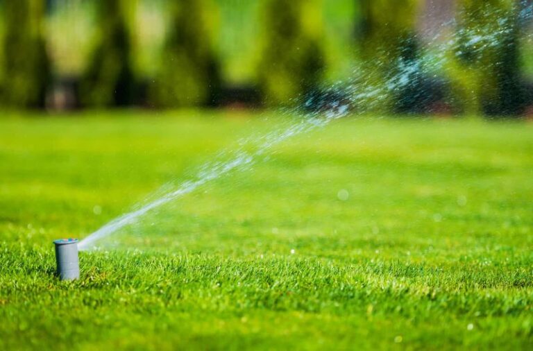 Watering Your Lawn in the Midday Sun Normally Won’t Scorch Ordinary Grass – Here’s a Common Preventable Mistake Burning It Brown