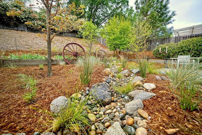 California firewise front yards do not have to look stark, and these choices prove it