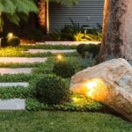 These Low-Growing California Plants Quietly Crowd Out Weeds Before They Ever Get a Foothold