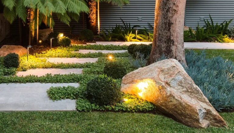 These Low-Growing California Plants Quietly Crowd Out Weeds Before They Ever Get a Foothold