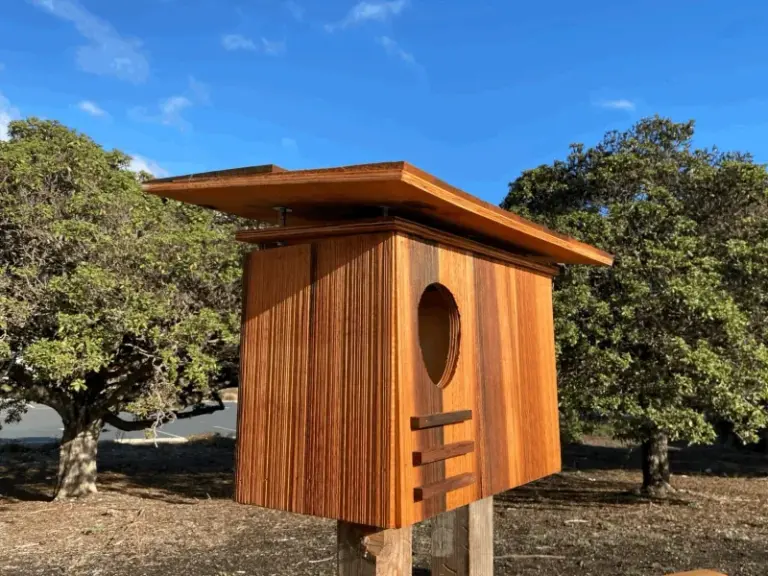 Could a Barn Owl Box Help With Rodents in Central Texas?