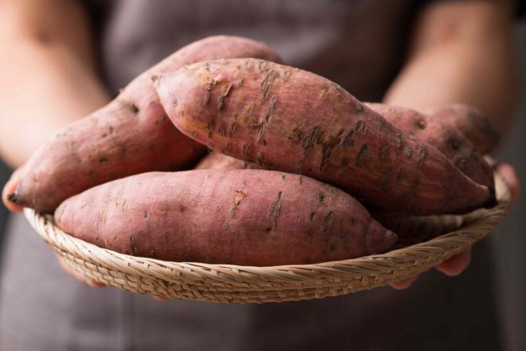 Store Your Fall Sweet Potato Harvest Wrong and It Rots in Weeks — Here’s the Curing Step Everyone Skips