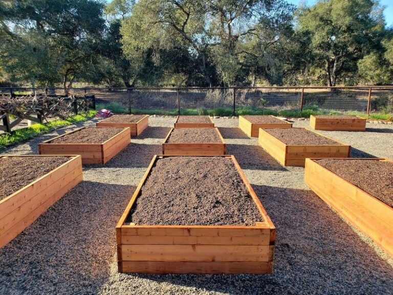 Your Fall Raised Beds Grow Weak Crops Because the Soil Is Missing These Three Ingredients