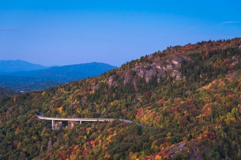 Why North Carolina’s Fall Color Looks So Patchy This Year and What Changed