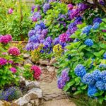 Plant These California Flowering Shrubs Instead of Hydrangeas That Look Great in the Nursery but Fry by August