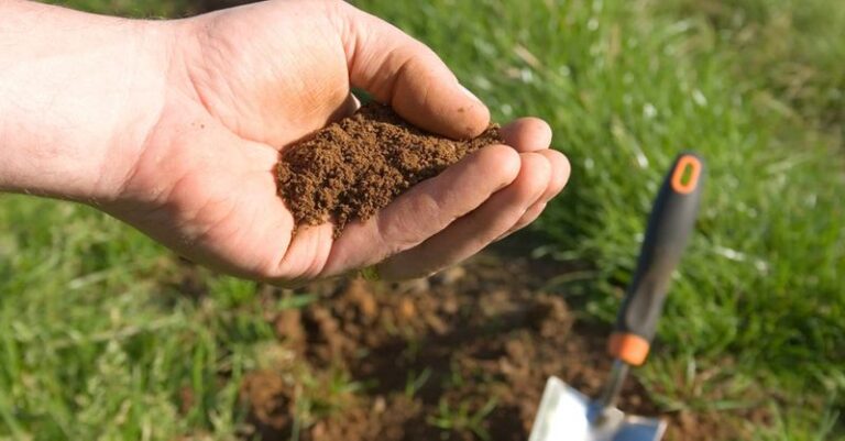 The North Carolina Soil Test That Ends the Guesswork Before You Plant This Fall