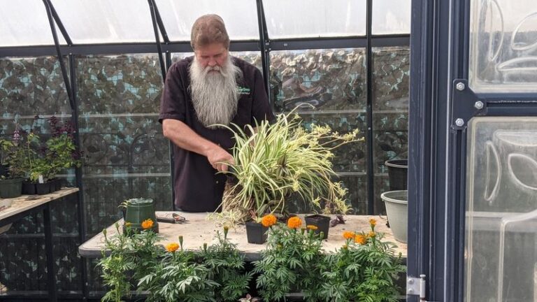 How North Carolina Gardeners Rescue Potted Porch Plants Before the Next Heat Wave Cooks Them in Their Pots