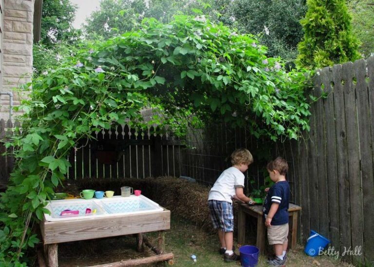 The Native Texas Vine That Covers a Bare Fence in Blooms and Feeds Butterflies All Season