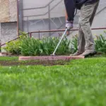 How North Carolina Gardeners Smooth Out a Bumpy Lawn by Hand Before Fall Seeding Season Ends