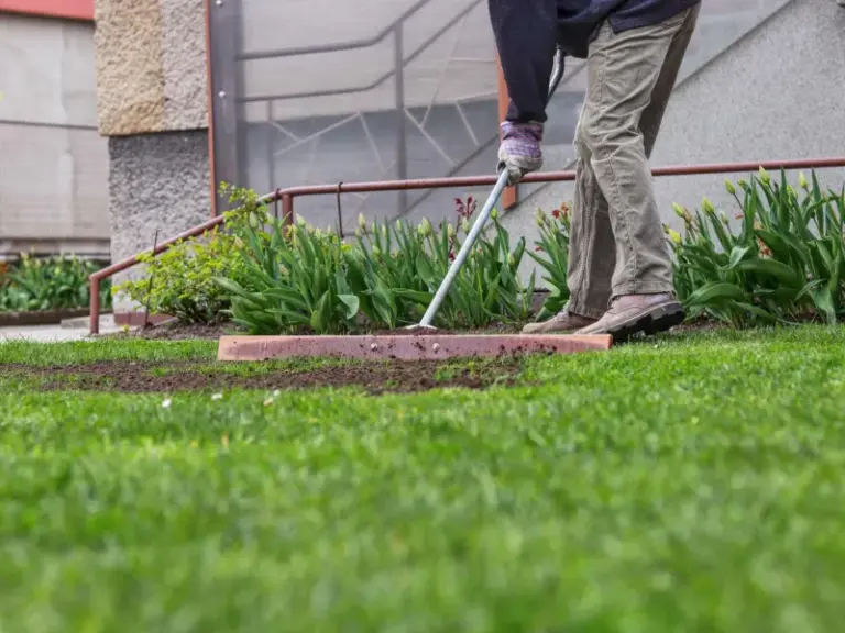 How North Carolina Gardeners Smooth Out a Bumpy Lawn by Hand Before Fall Seeding Season Ends