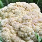 Your Fall Cauliflower Heads Turn Loose and Ricey Instead of Tight and White — Here’s the Heat Slip Behind It