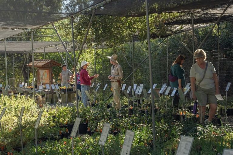 The California Seed Sources Native Gardeners Swear By for Wildflowers Nobody Else Sells