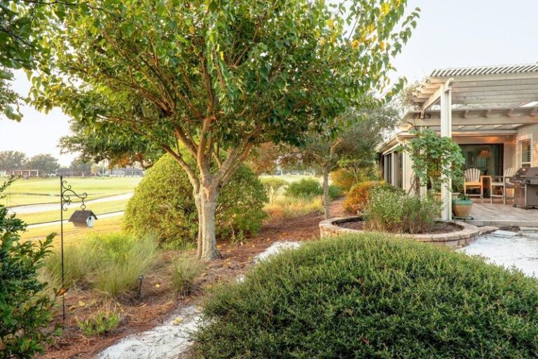 7 Underused Florida Native Trees That Are Built for the Heat and Sized Right for a Front Yard