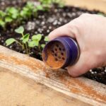 These 20 strong scents help keep squirrels, chipmunks, and other garden raiders away