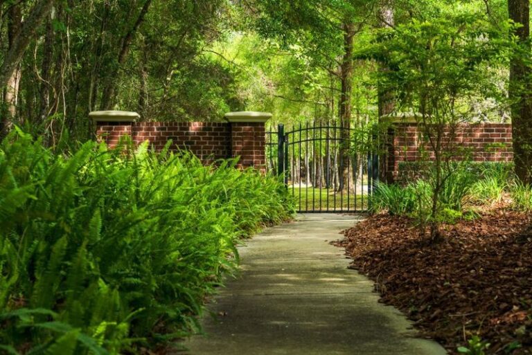 8 Florida Native Walkway Plants That Stay Tidy All Summer Without Constant Trimming