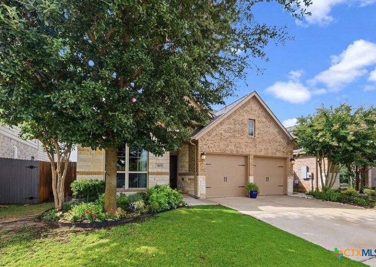 The Compact Native Texas Oak That Shades a Small Central Texas Yard Without Cracking Your Foundation
