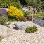 How To Stop Weeds From Taking Over Your Central Texas Gravel Driveway For Good
