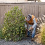 The Central Texas Shrubs Worth Pruning Right Now in Early Fall and the Ones That Punish You For It