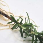 Your Favorite Rosemary Bush Turns Into a Dozen Free Plants When You Take Cuttings This Fall