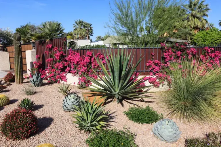 The California Plants That Actually Thrive Against Blazing South-Facing Walls and Reflected Driveway Heat
